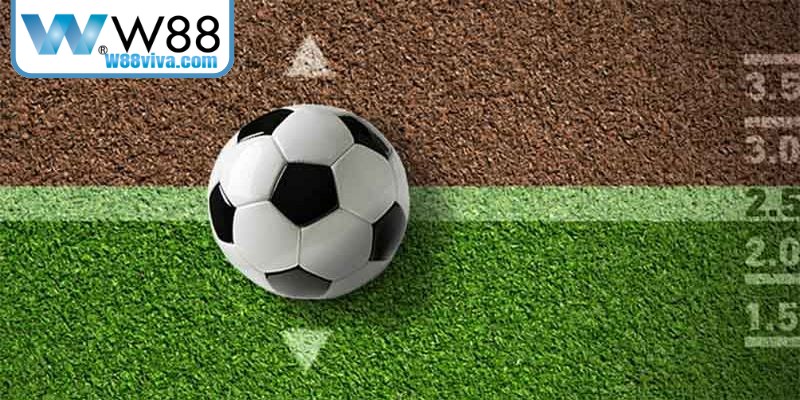 Kèo Dưới Là Gì - Giải Mã Về Tỷ Lệ Cược Ăn Khách Hiện Nay 19 Kinh nghiệm soi kèo châu Âu là gì để giành thắng lớn